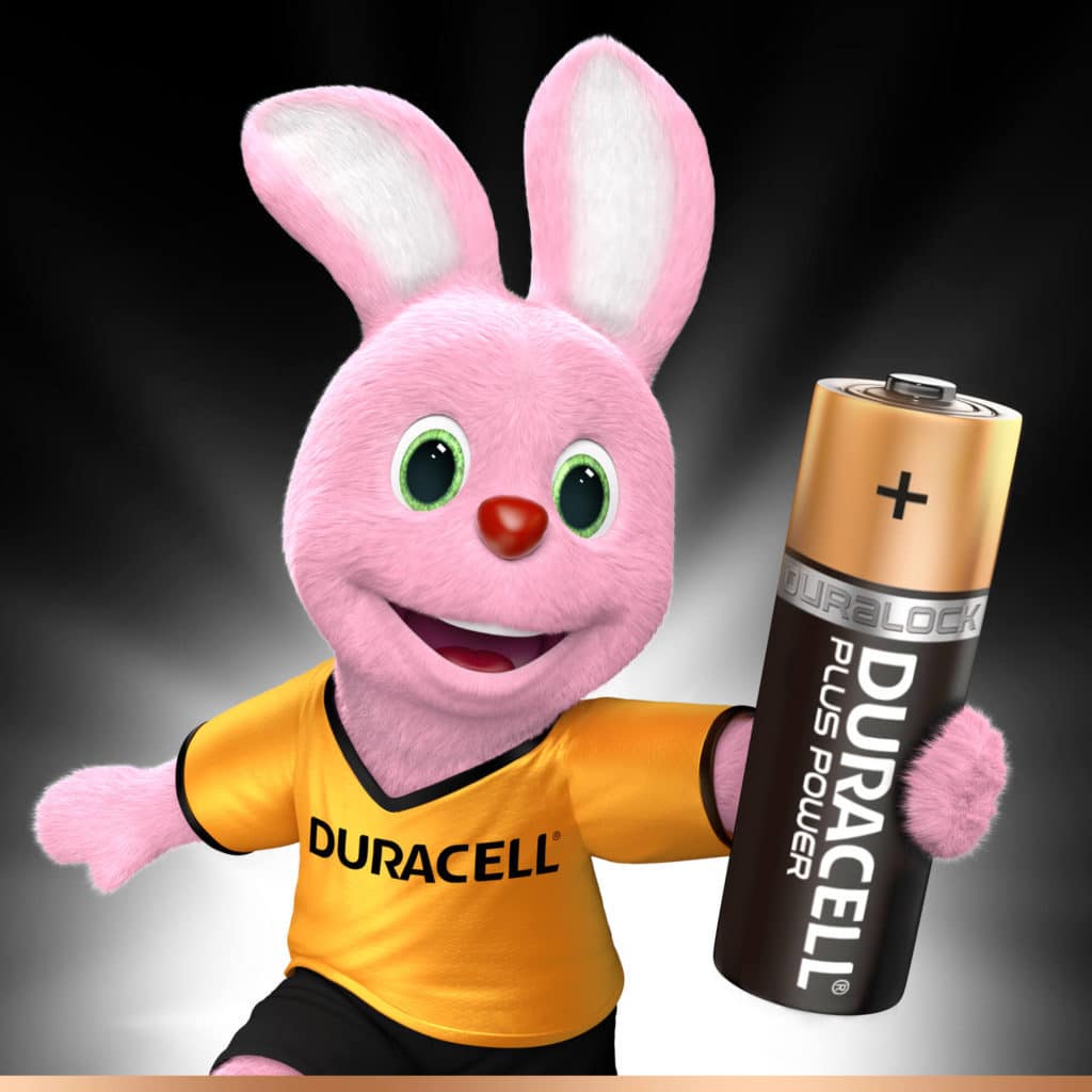 DURACELL PLUS POWER AA (x12)